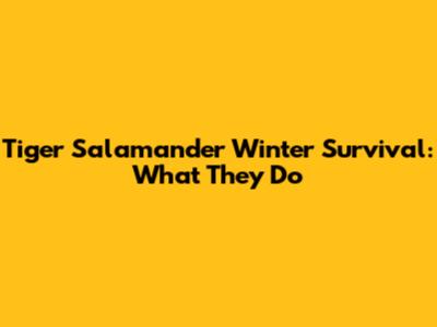Tiger Salamander Winter Survival: What They Do