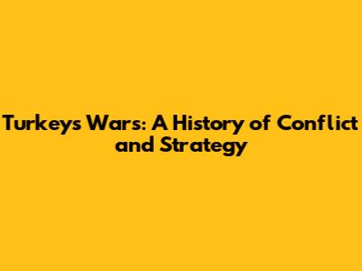 Turkey's Wars: A History of Conflict and Strategy