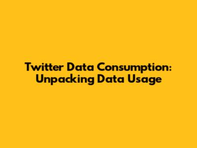 Twitter Data Consumption: Unpacking Data Usage