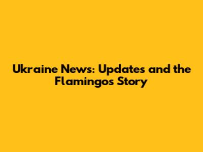 Ukraine News: Updates and the Flamingo's Story