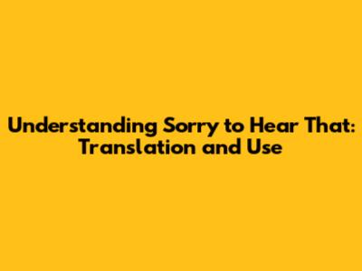 Understanding 'Sorry to Hear That': Translation and Use