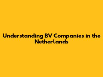 Understanding BV Companies in the Netherlands