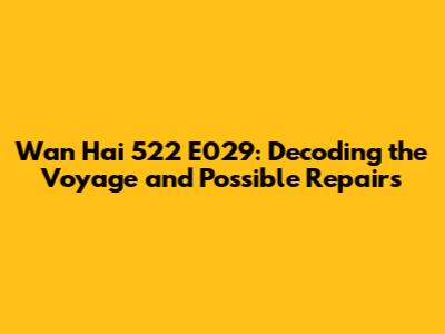 Wan Hai 522 E029: Decoding the Voyage and Possible Repairs
