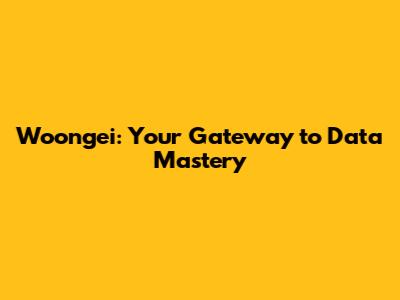 Woongei: Your Gateway to Data Mastery