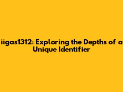iigas1312: Exploring the Depths of a Unique Identifier